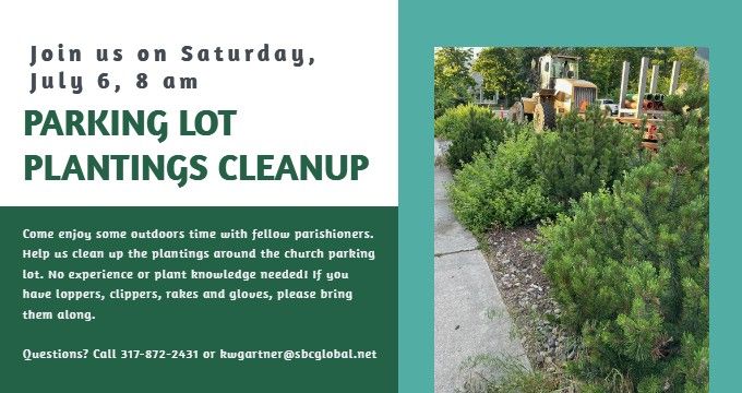 Parking Lot Plantings Cleanup