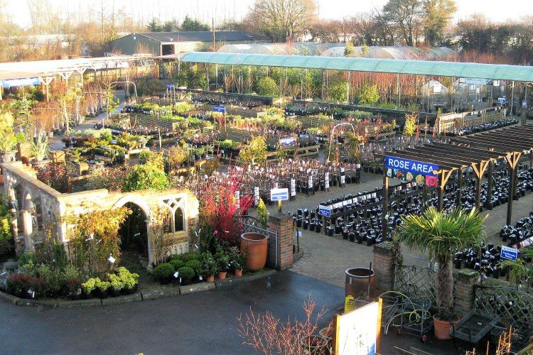 Saturday 29th March 20% off day at Rumwoods Nursery ME17 3ND