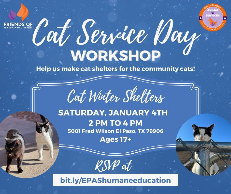 Help Make Cat Winter Shelters!