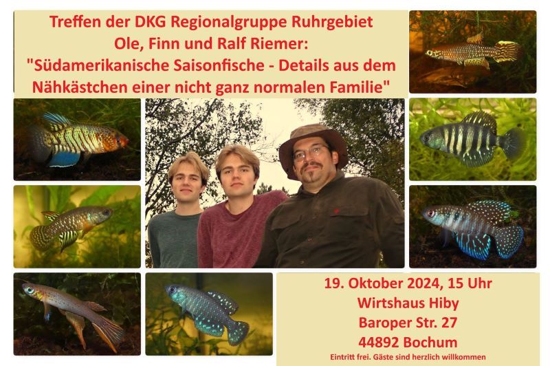 Treffen der DKG Regionalgruppe Ruhrgebiet. Vortrag: Ole, Finn und Ralf Riemer.