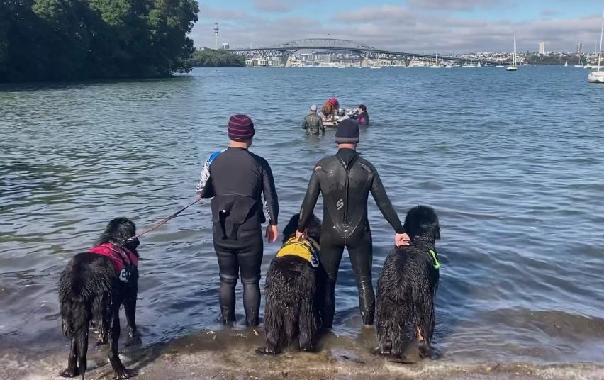 Water training - Little Shoal Bay