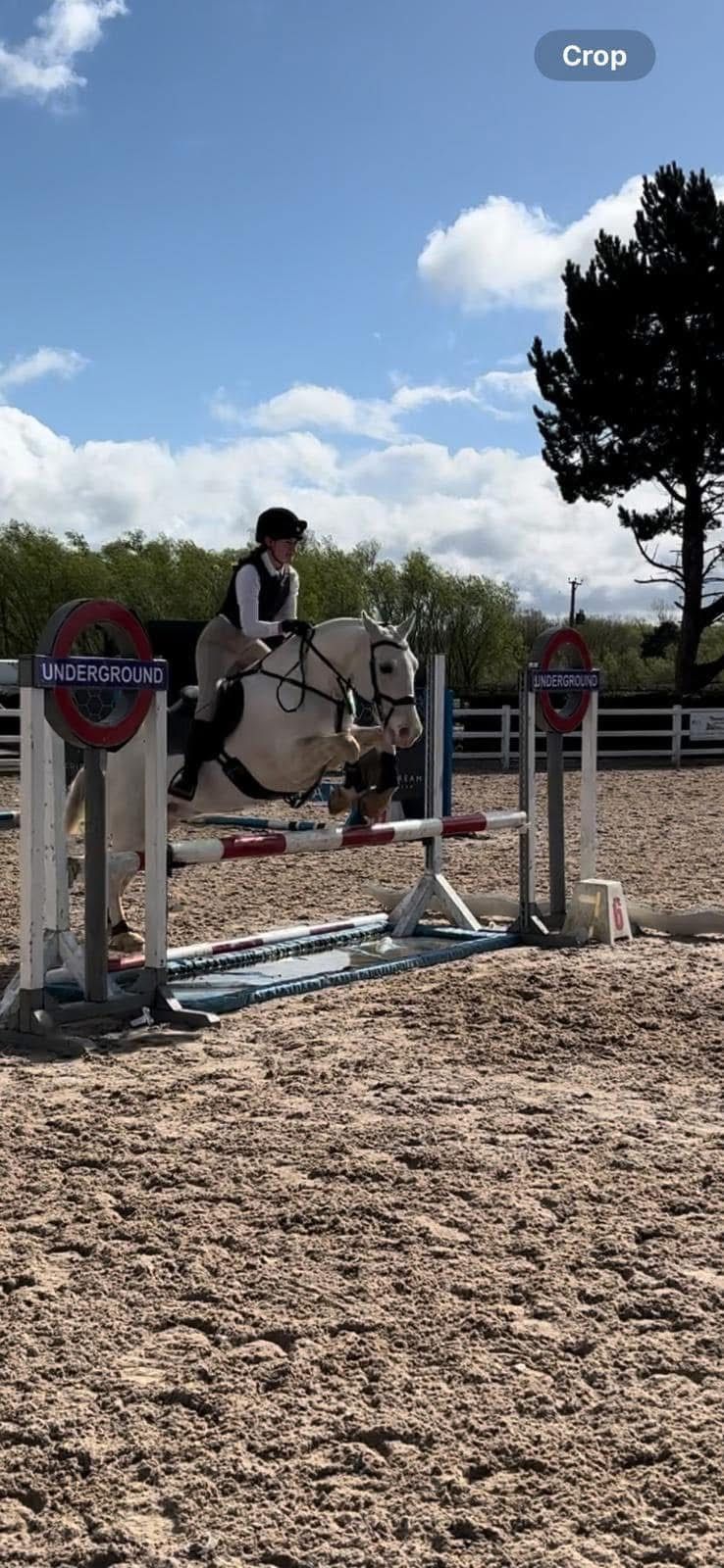 Brocklesby Pony Club Team and individual Show Jumping competition- open to all! 