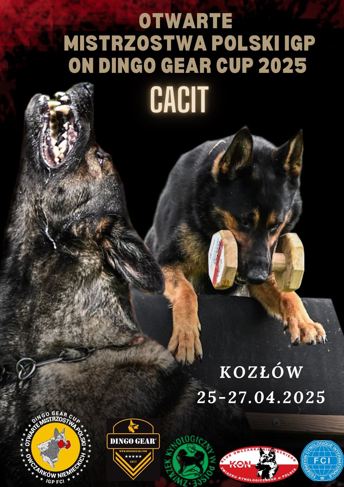 OTWARTE MISTRZOSTWA POLSKI IGP ON DINGO GEAR CUP -CACIT-