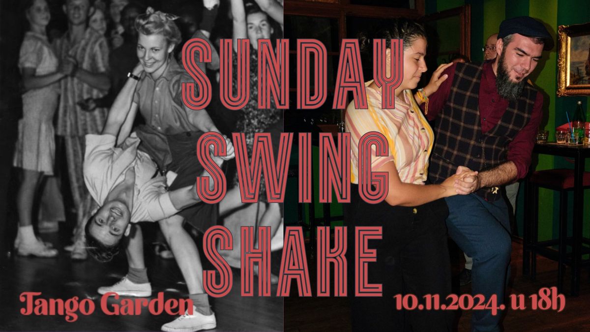 Sunday Swing Shake - radionica & plesnjak