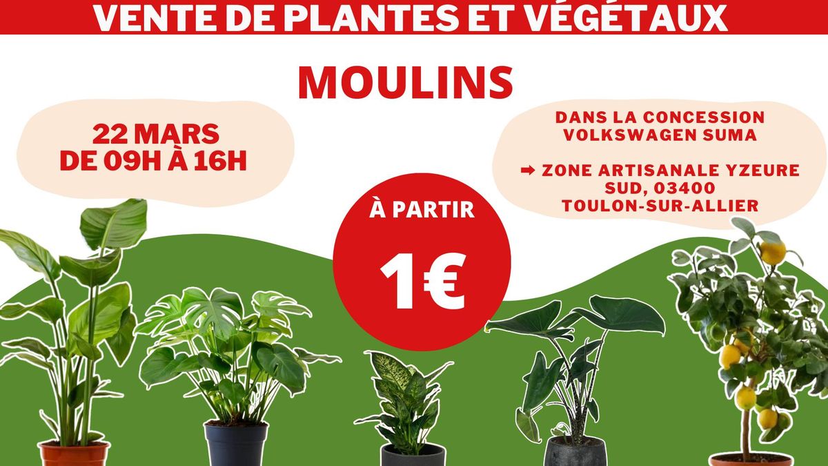 MOULINS - V\u00e9g\u00e9taux et Plantes \u00e0 partir de 1\u20ac by Plantes Addict