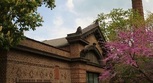 Chicago Scavenger Hunt: A Day At The Zoo