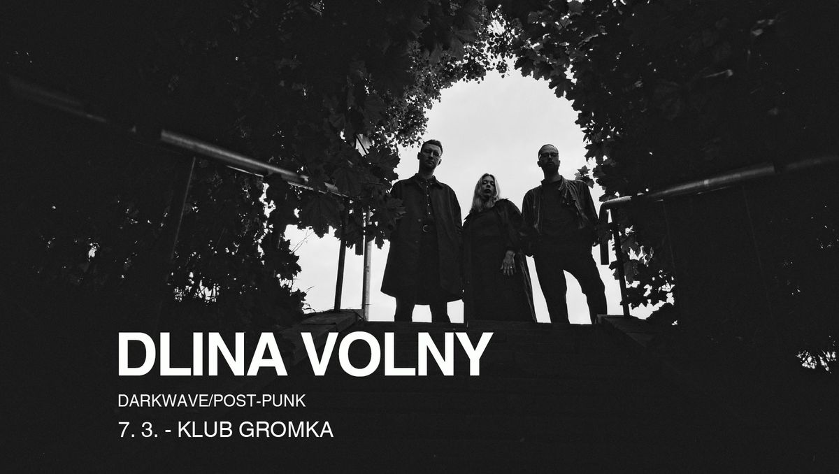 Dlina Volny [dark disco\/post-punk\/darkwave]