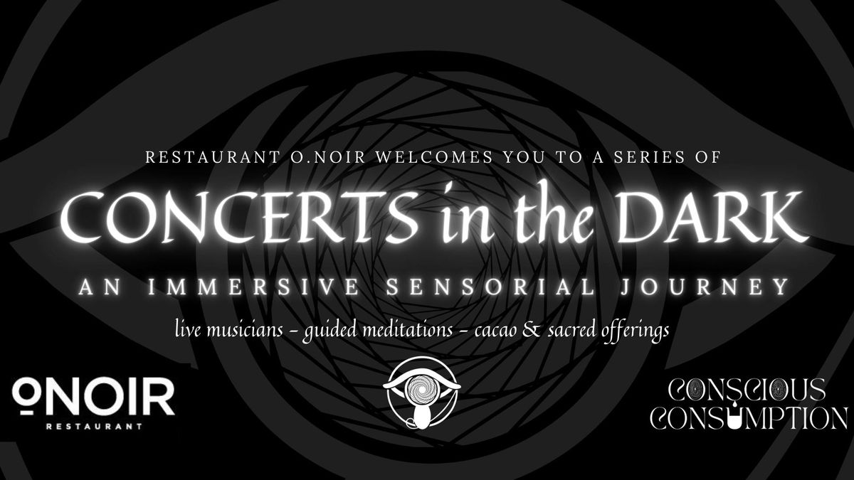 CONCERTS IN THE DARK - A SERIES