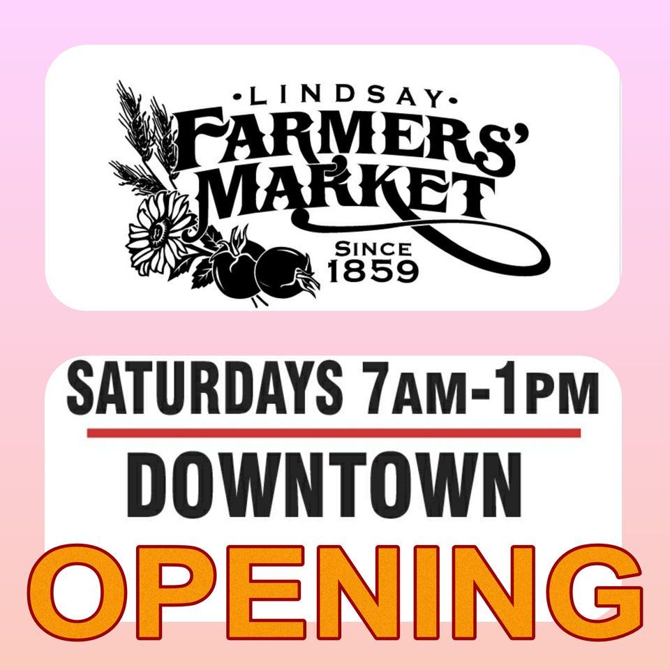 Opening of the Saturday Lindsay Farmers' Market