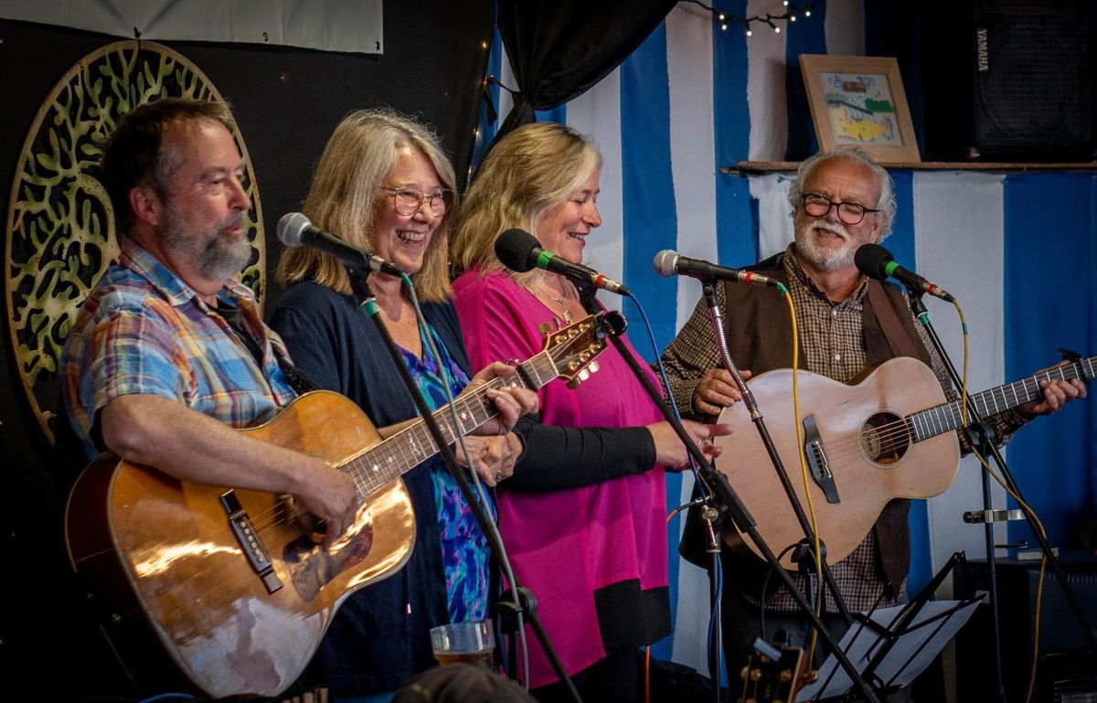 ShakeMeUpSally at Chichester Folk Club