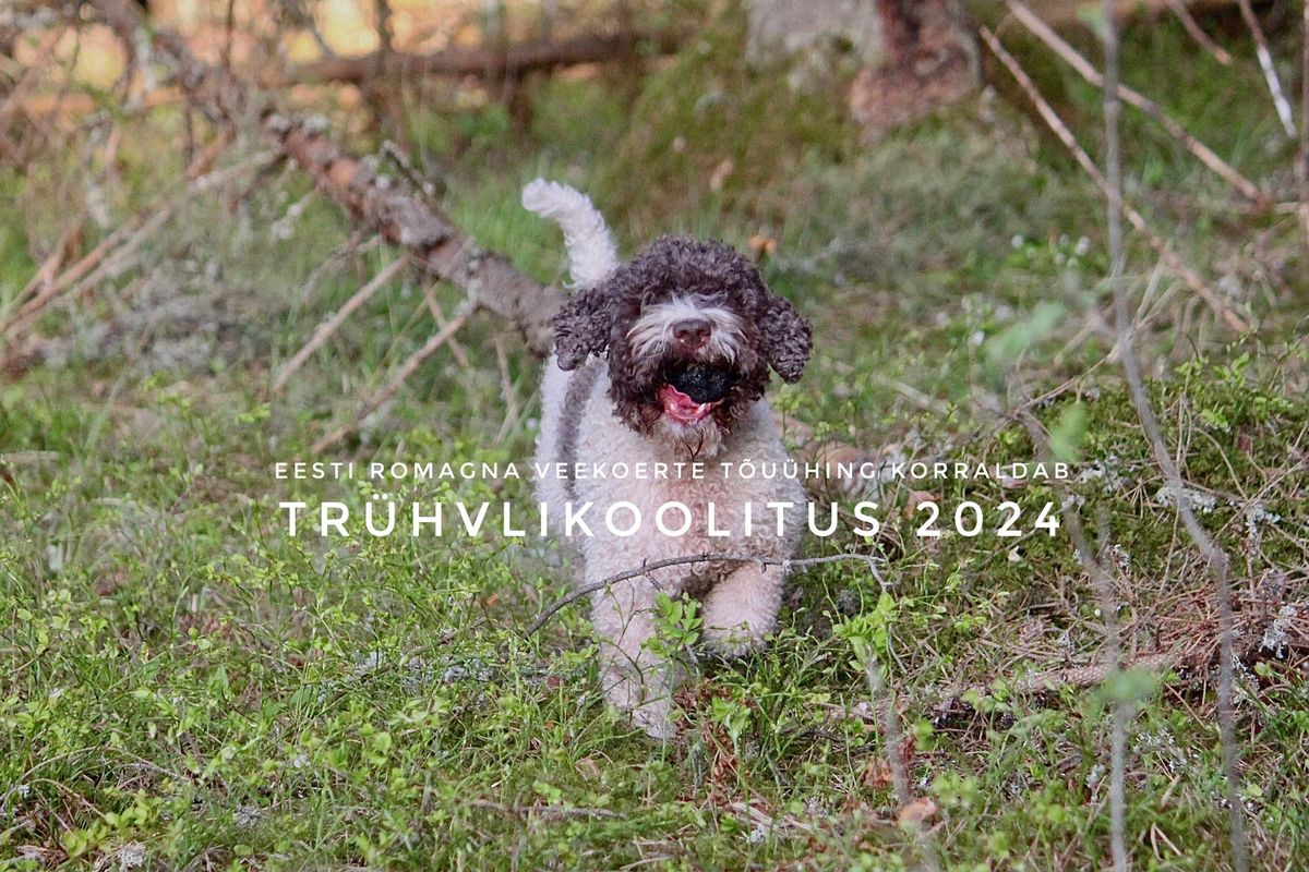 ERVT tr\u00fchvlikoolitus 2024