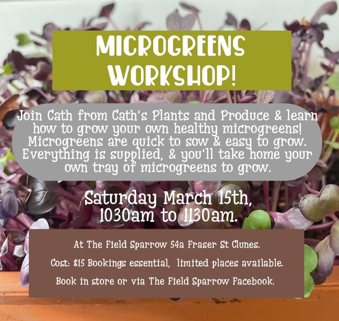 Cath's Plants and Produce Workshop: Growing Microgreens