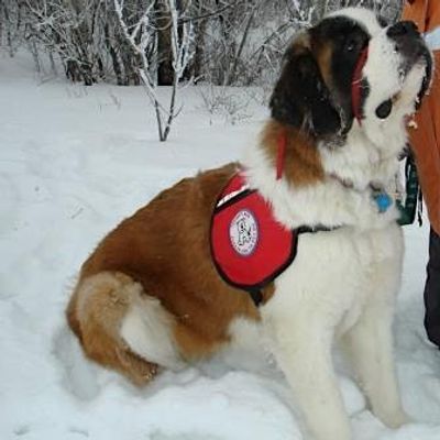 Bernie's Buddies - kids' and youth grief support