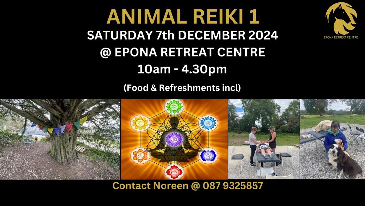 Animal Reiki Level 1 - 7th December 2024