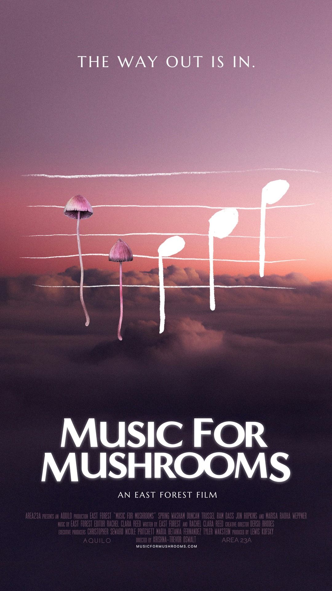 MUSIC FOR MUSHROOMS - FILM