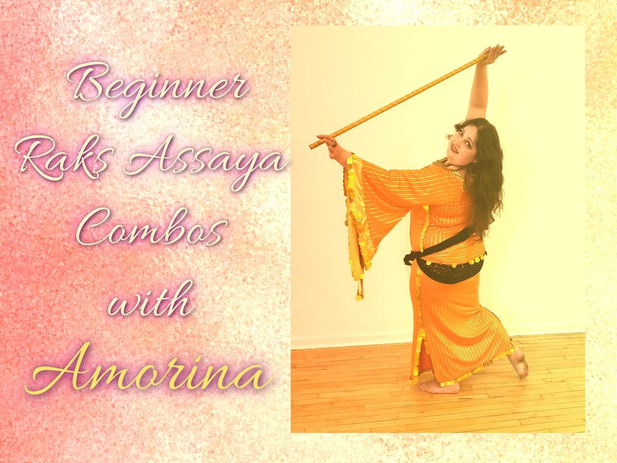 Beginner Raks Assaya (cane dance) Combos