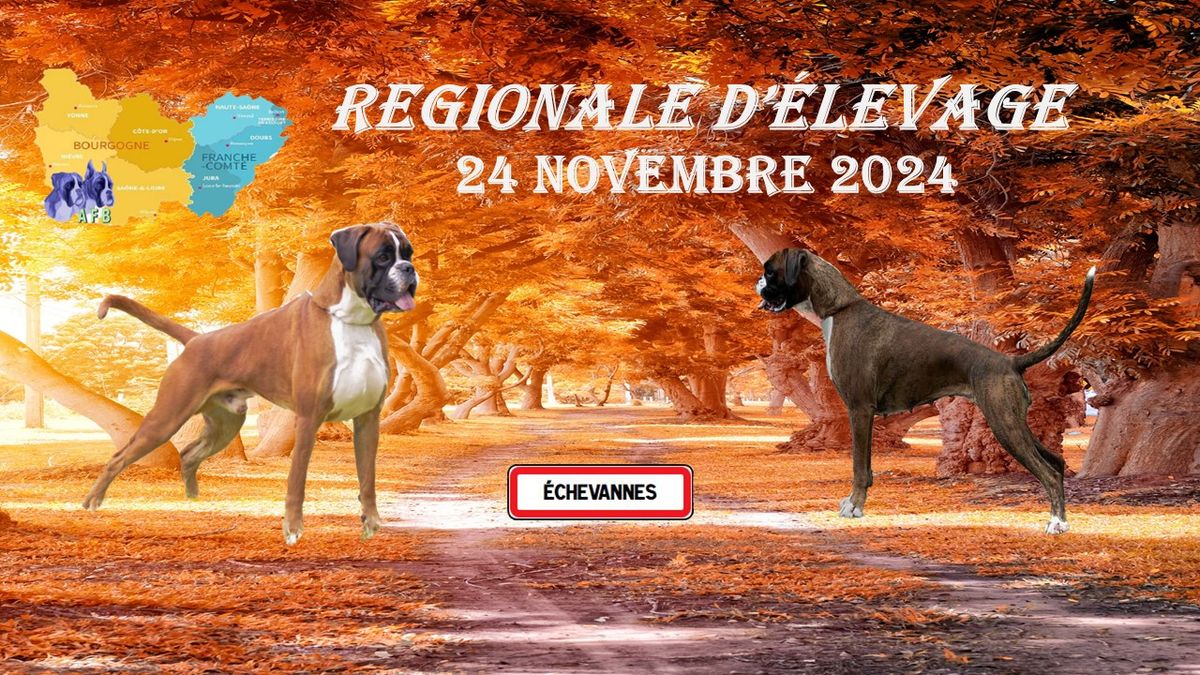 Regionale d'\u00e9levage 2024