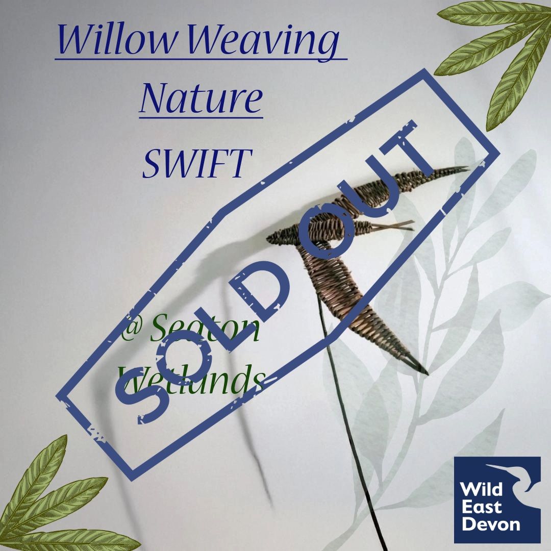 Willow Weaving Nature - Swift