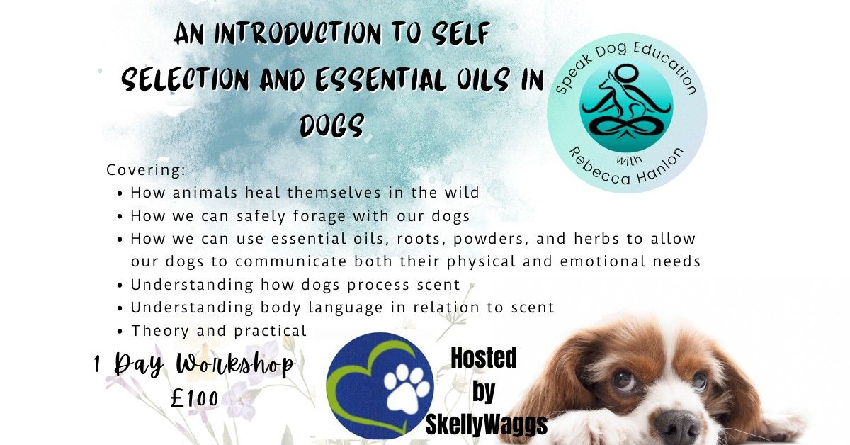 An Introduction to self selection and essential oils in dogs