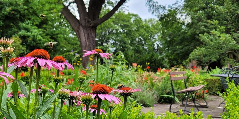 Ten Broeck Mansion Garden & Community Clean-Up Days