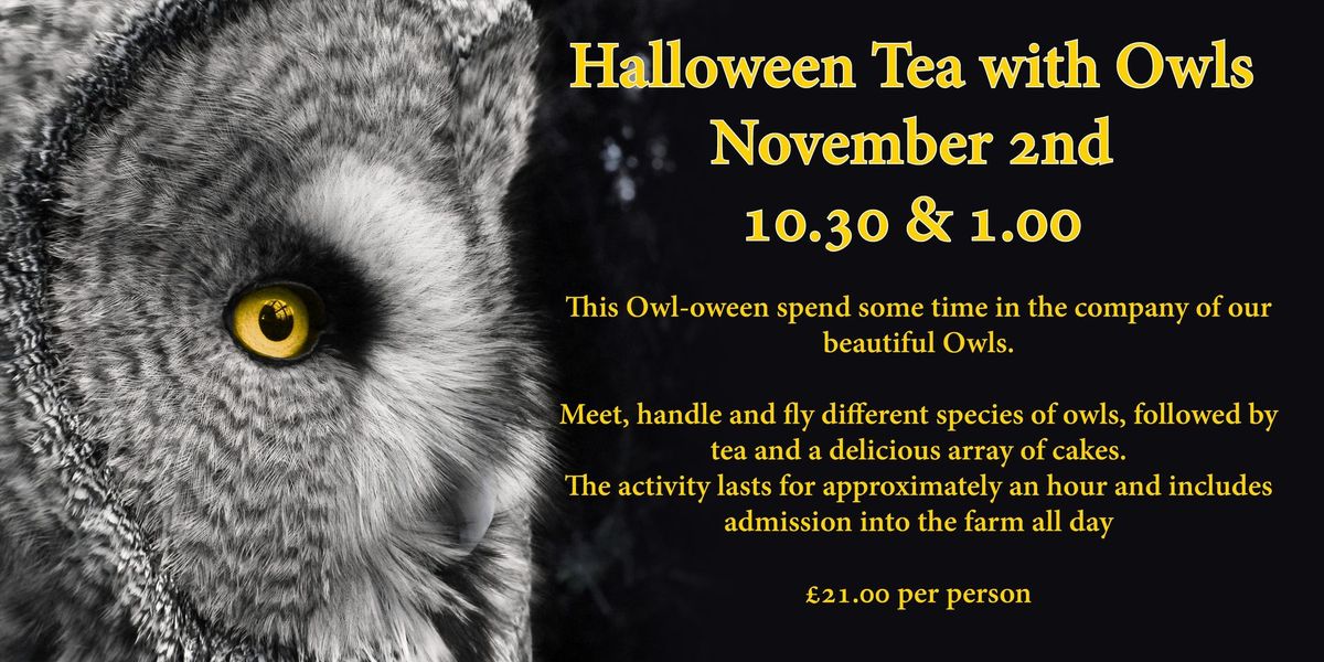 Halloween Tea with Owls