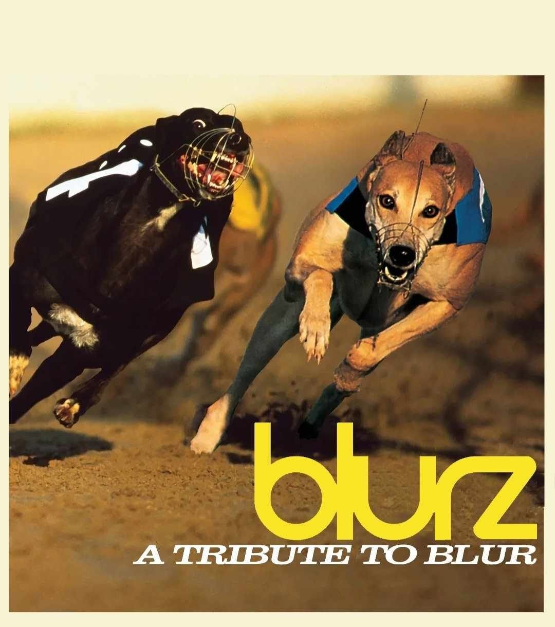 Blurz - A Tribute To Blur - Xmas Special