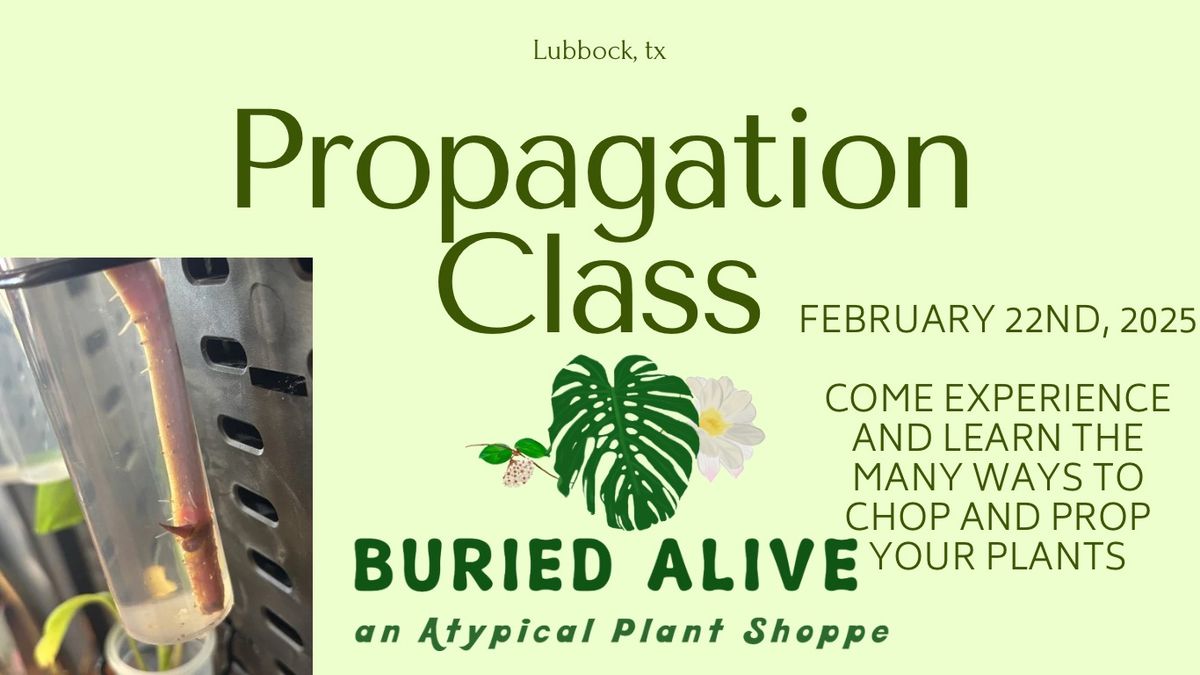 Chop it-Prop it-Root it\u2014a propagation class for everyone