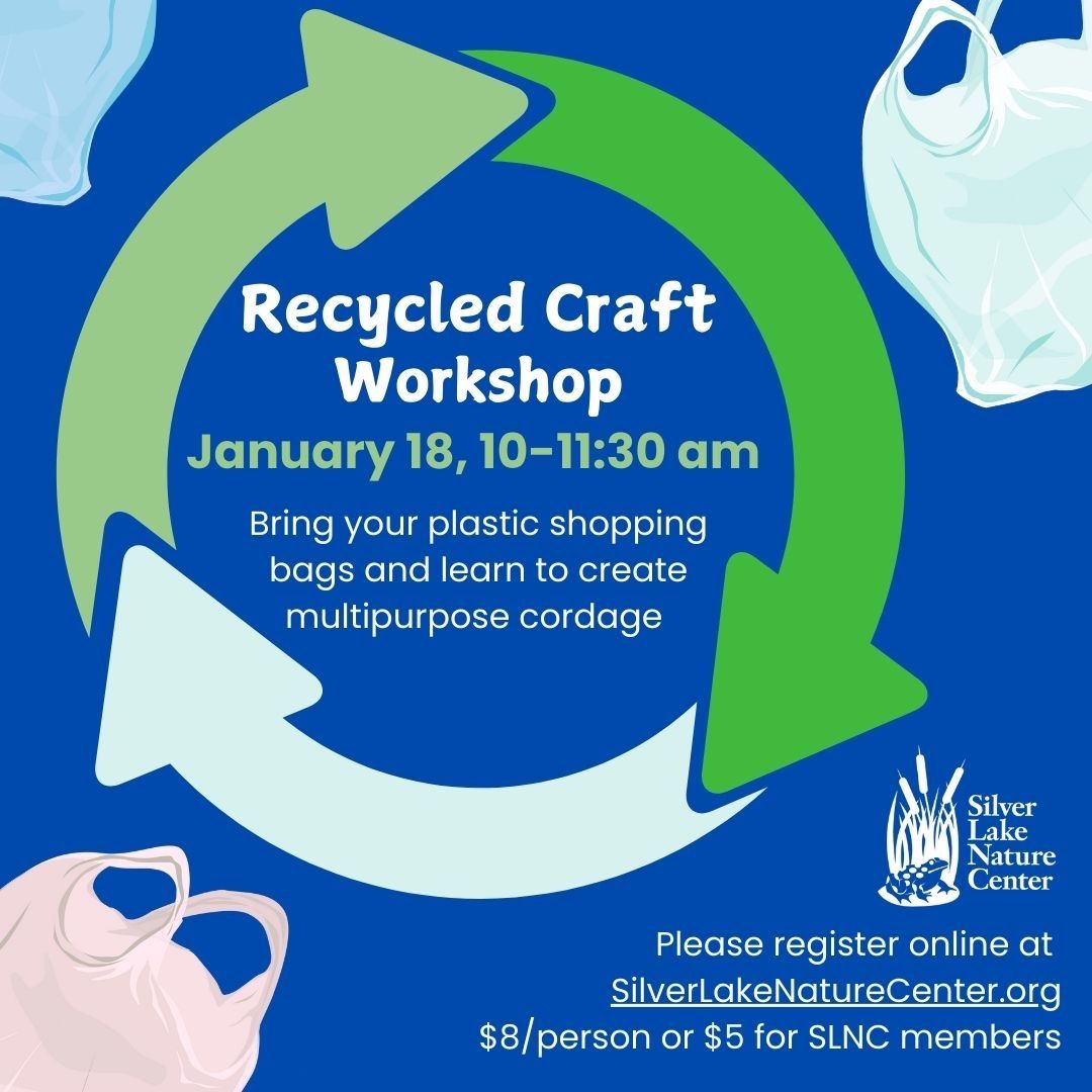 Recycled Craft Workshop 