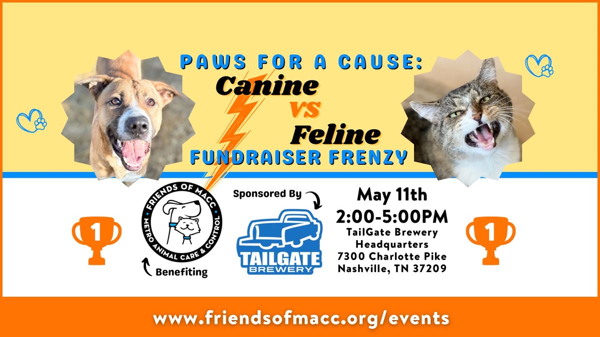 Paws for a Cause: Canine VS Feline Fundraising Frenzy