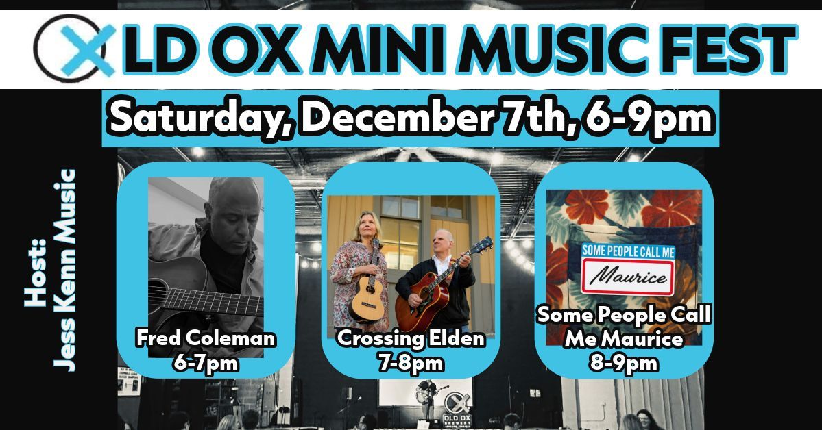 Old Ox Mini Music Festival