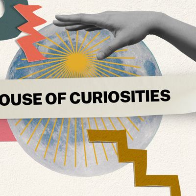 House of Curiosites
