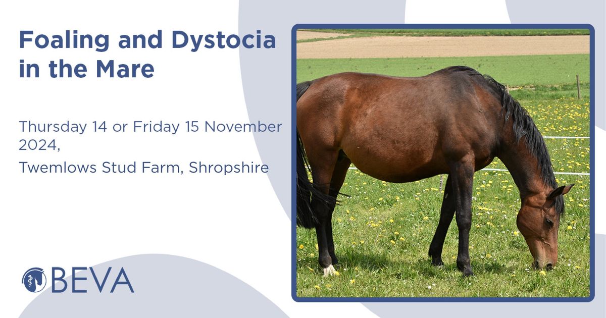 Foaling and Dystocia in the Mare