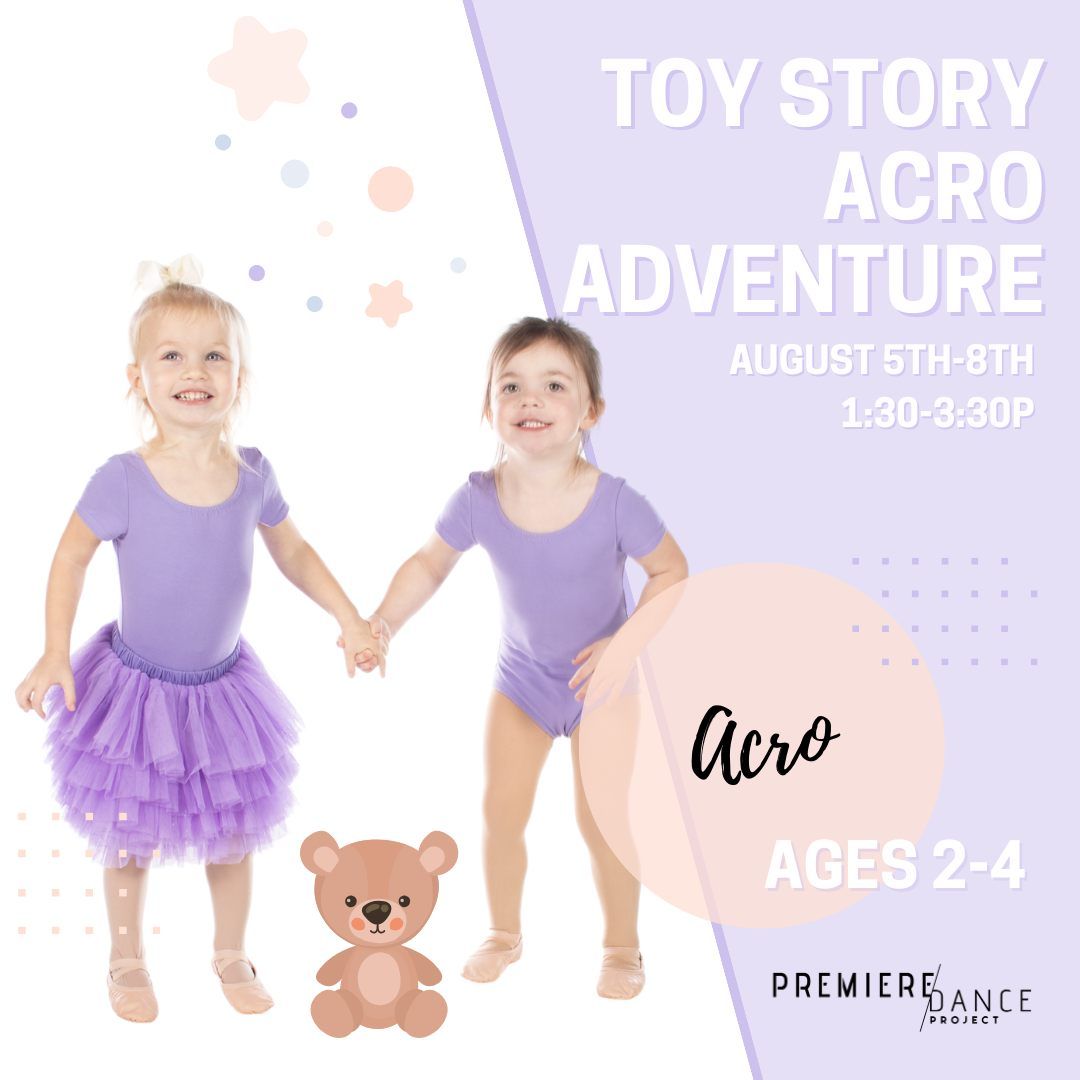 Toy Story Acro Adventure Camp