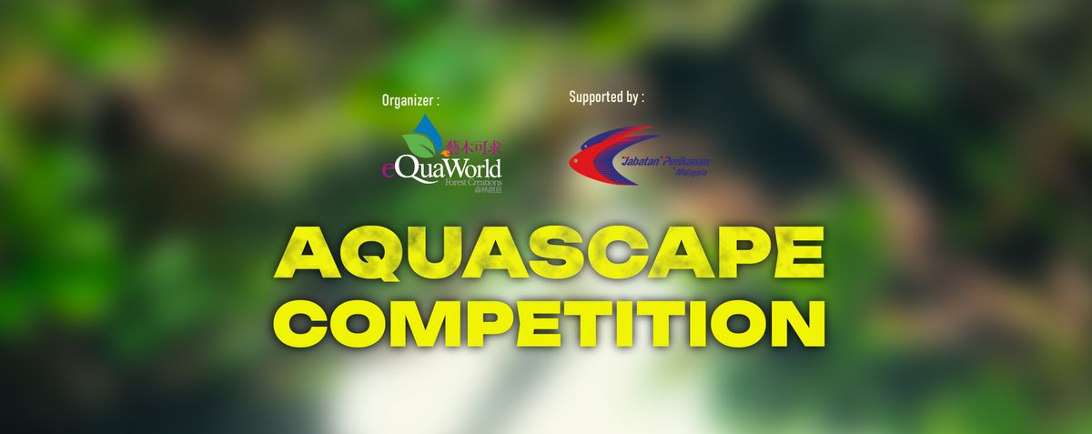 60P Aqua scape Competition