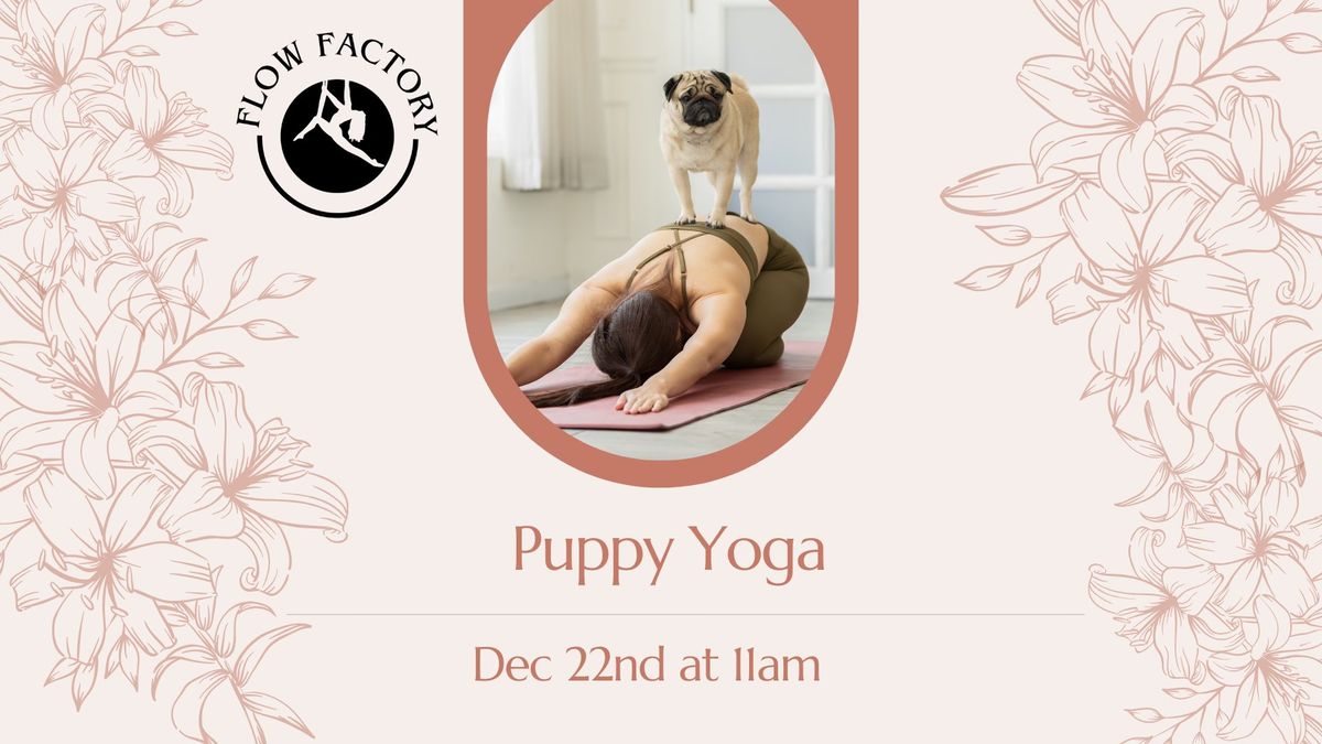 Puppy Yoga! \ud83d\udc36\ud83e\uddd8\ud83c\udffb\u200d\u2640\ufe0f