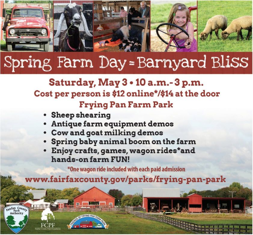 Spring Farm Day