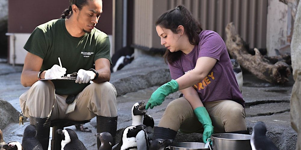 4-H Explores Careers @ the Maryland Zoo