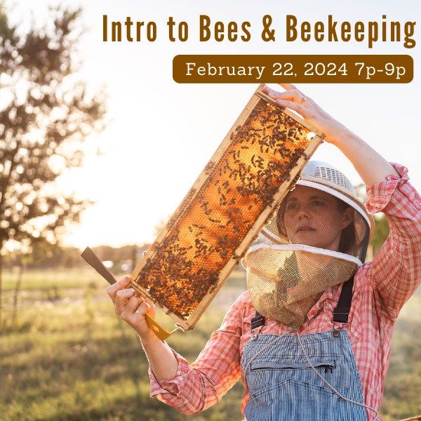 Intro to Bees and Beekeeping