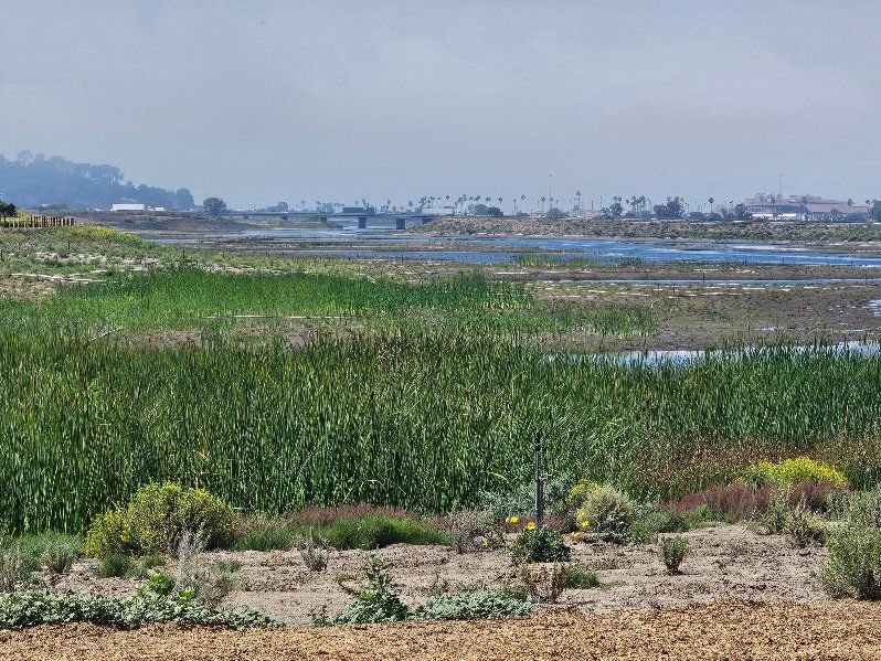 Guided Hike - San Dieguito Lagoon Tidal Trail