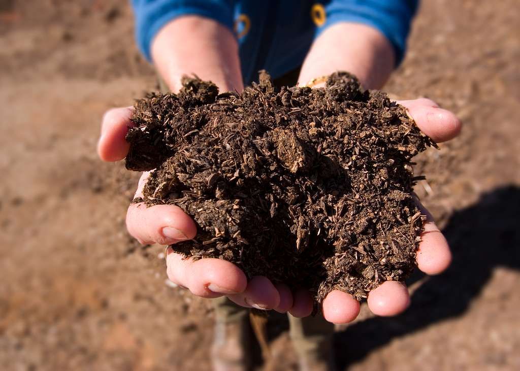 Sustainability Series: Composting Basics, You Can Be Successful