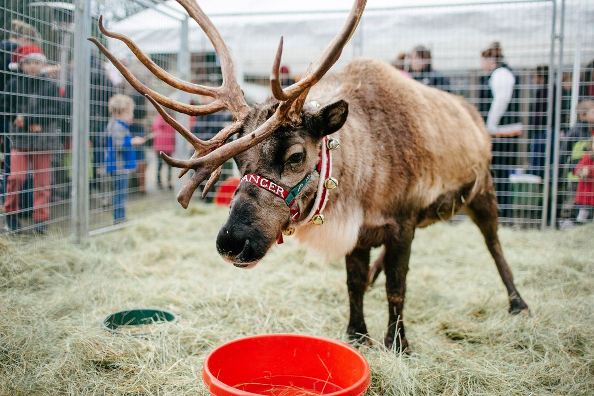 Reindeer Magic (Vancouver)