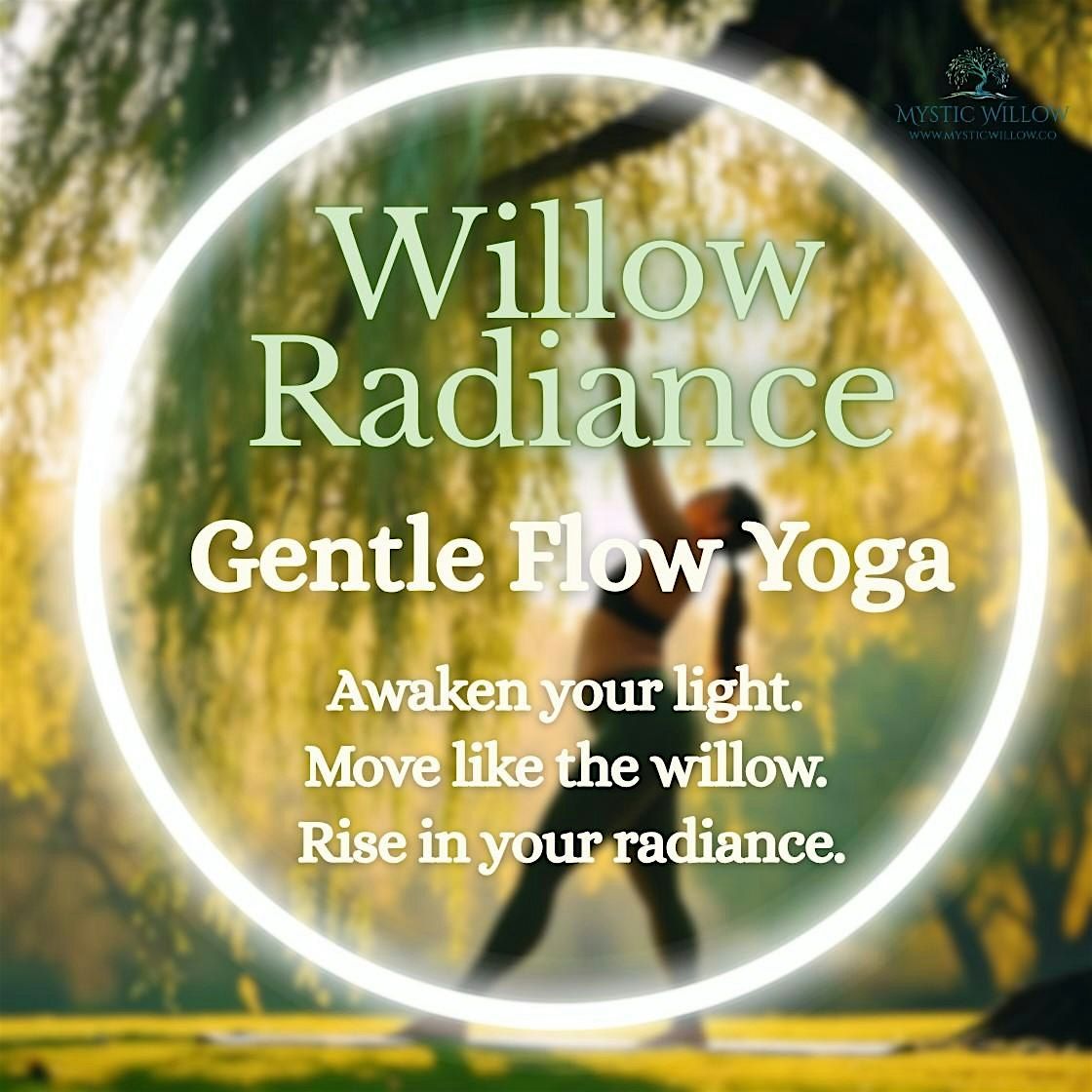 Willow Radiance: Gentle Flow Yoga