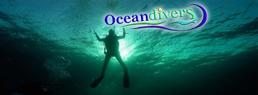 Oceandivers summer snorkelling camps 