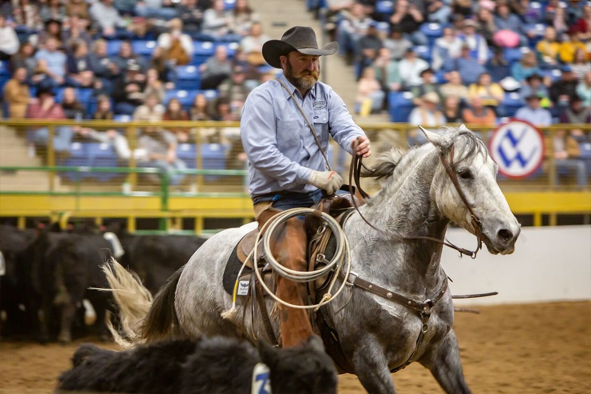 An Evening of Dancing Horses at National Western Complex