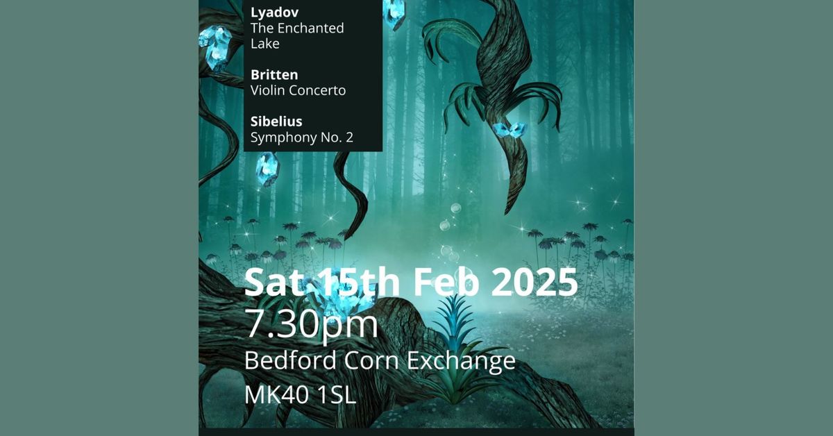 Bedfordshire Symphony Orchestra Concert