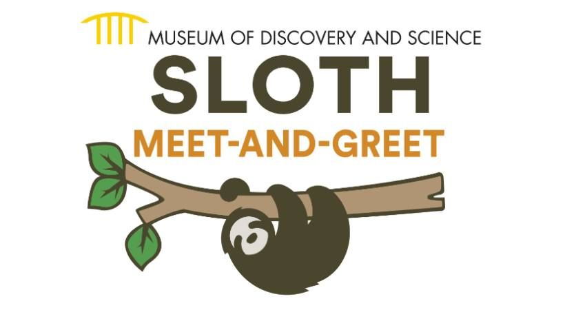 Sloth Meet-and-Greet