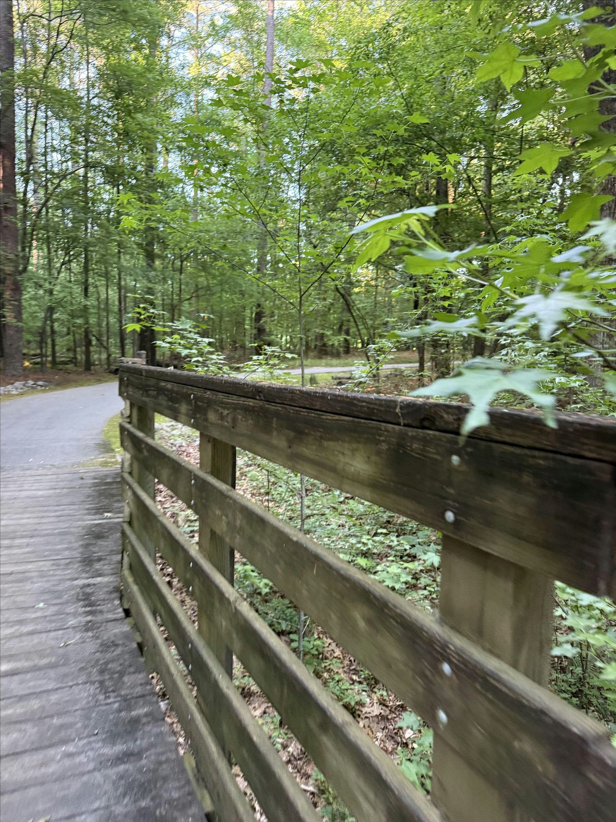 Interwoven: Community in Nature