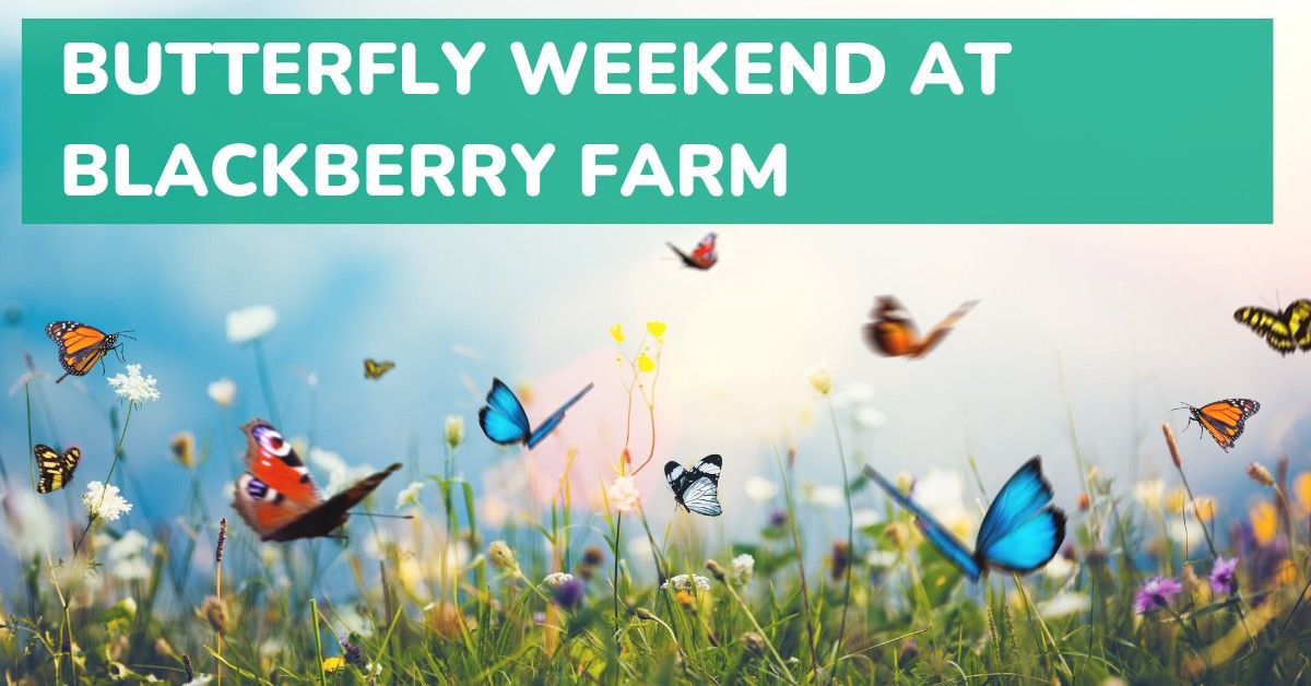 Butterfly Weekend at Blackberry Farm