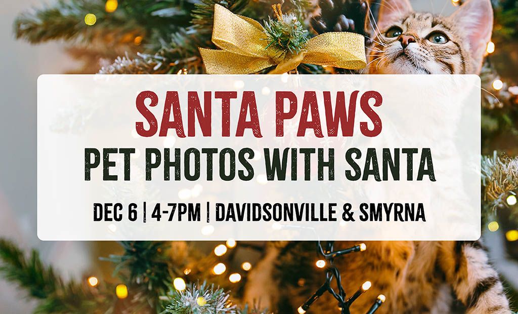 Santa Paws - Pet Photos with Santa