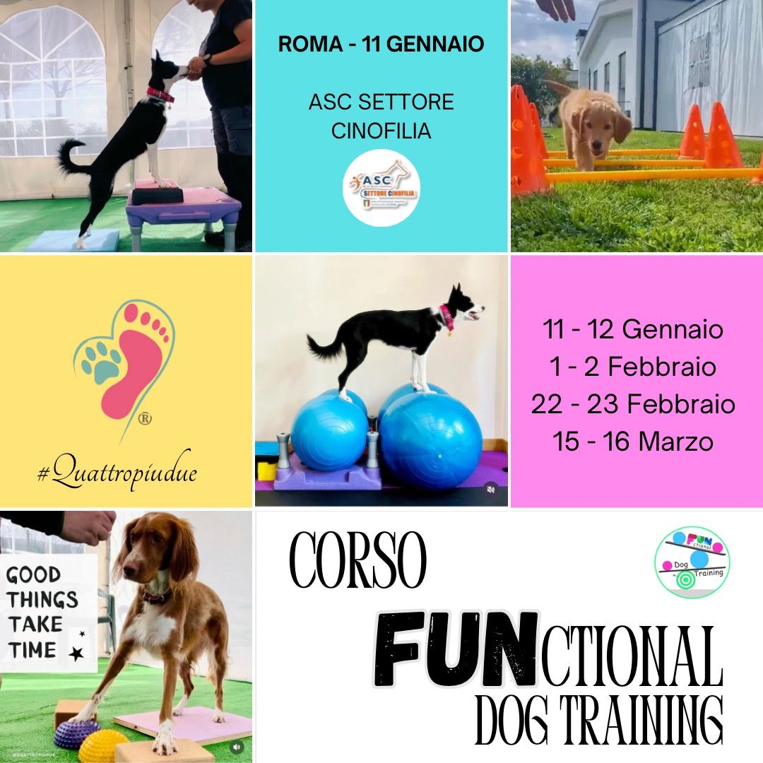 Corso di Specializzazione in FUNctional Dog Training